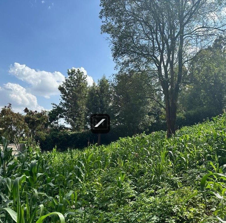 780