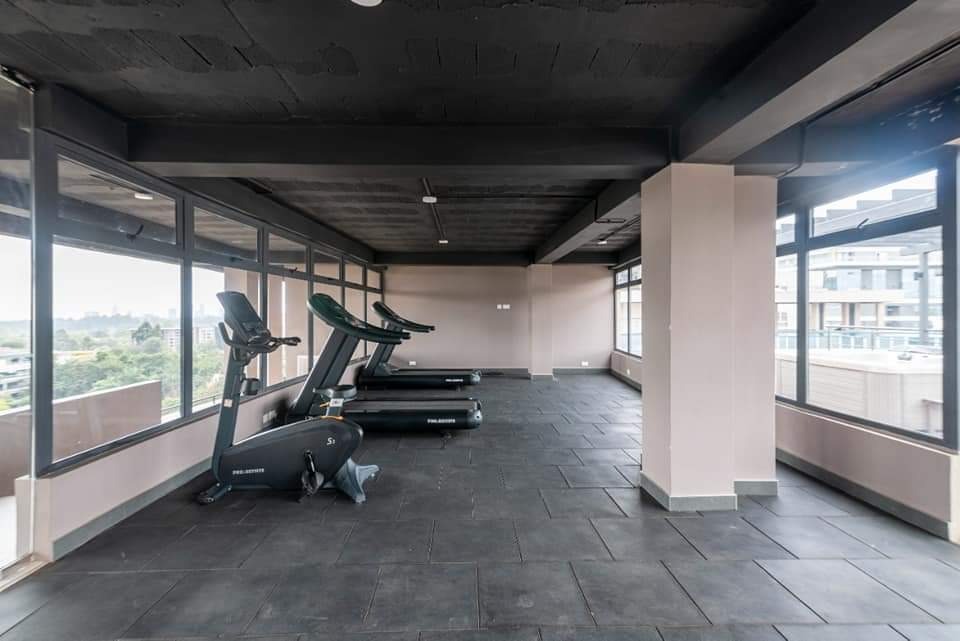 imgi_29_Gym Luxury 3 & 4 Bedroom Duplex Apartments For Sale in Riverside Drive, Nairobi | Premium Duplex Residences with DSQ