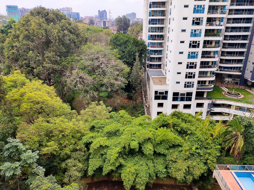 imgi_4_River-Gardens-Kileleshwa-17 4 Bedroom Apartment For Sale in Kileleshwa
